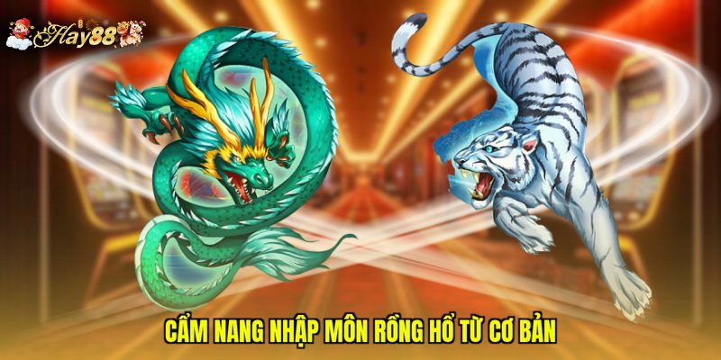 Cẩm nang nhập môn Rồng Hổ từ cơ bản